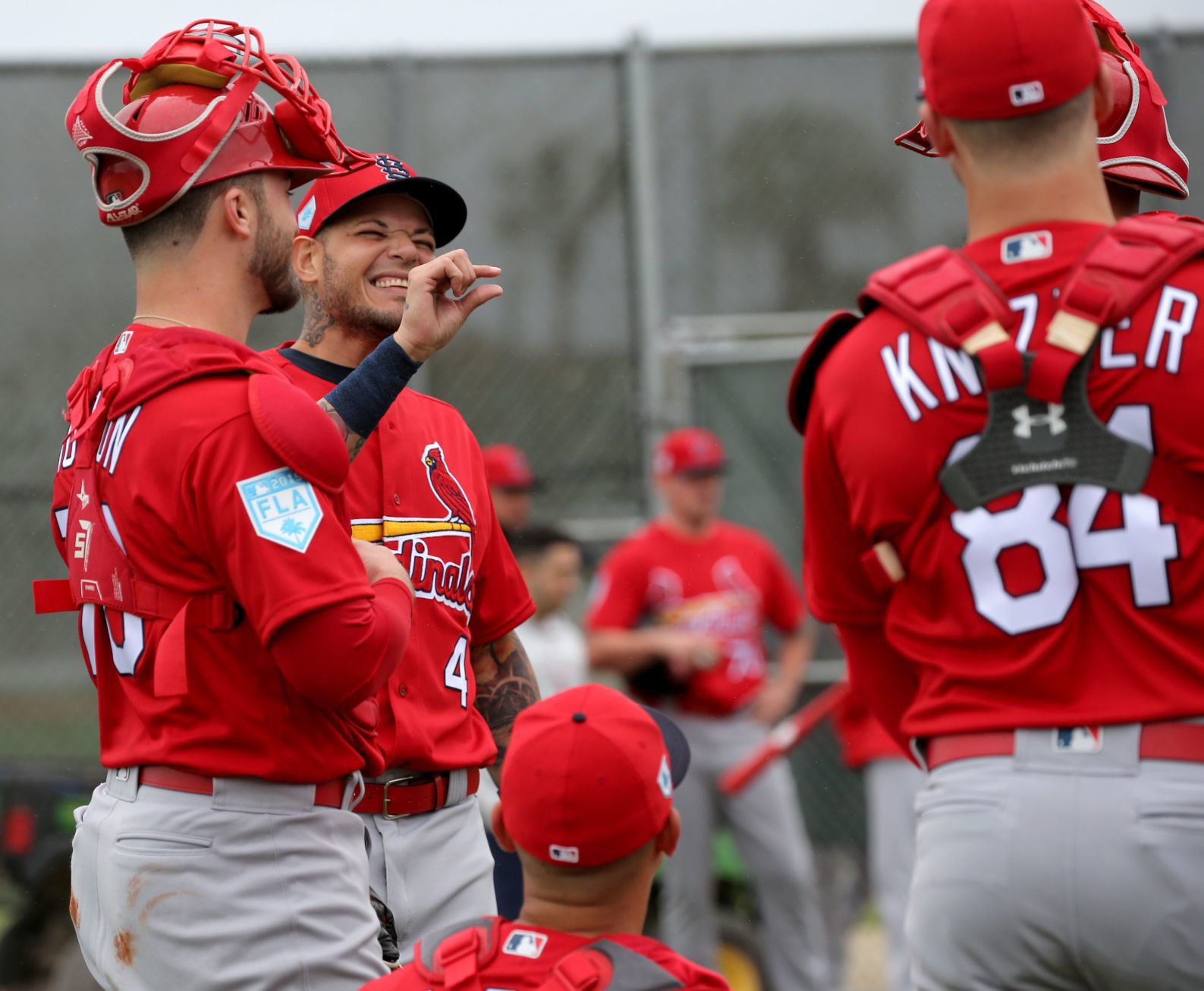 Cardinals spring training